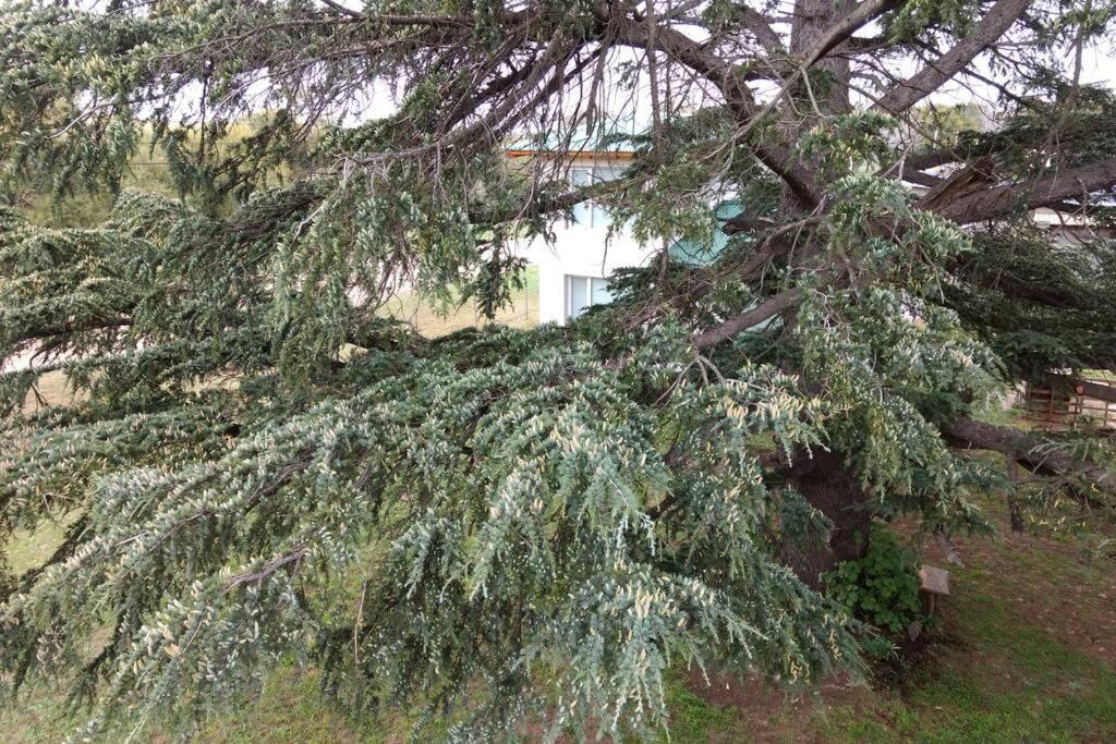 Apartamento Maika La Peke Sierra de la Ventana Exterior foto